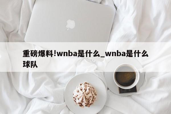 重磅爆料!wnba是什么_wnba是什么球队